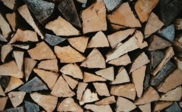 Biopaliwa w Polsce – jakie są możliwości produkcji i wykorzystania Biopaliwa w Polsce