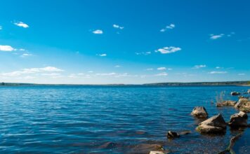 Rola edukacji w ochronie zasobów naturalnych Rola edukacji w ochronie zasobów naturalnych