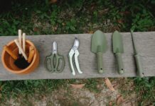 Jakie narzędzia i sprzęt są niezbędne do skutecznej ochrony roślin