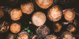 Czym są biopaliwa i jakie korzyści przynoszą środowisku naturalnemu
