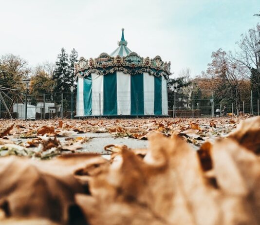 Jakie są alternatywy dla tradycyjnych cyrków ze zwierzętami