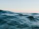 Dlaczego ochrona raf koralowych jest tak ważna dla ochrony oceanów Dlaczego ochrona raf koralowych jest tak ważna dla ochrony oceanów