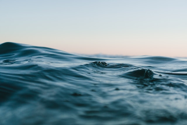 pexels-matt-hardy-1533720 Dlaczego ochrona raf koralowych jest tak ważna dla ochrony oceanów