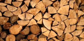 Produkcja biopaliw – proces technologiczny i koszty produkcji