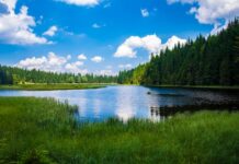 Ekoturystyka jako forma promowania ochrony środowiska