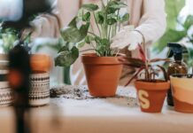 Jakie środki chemiczne są najbezpieczniejsze dla środowiska i jak je stosować