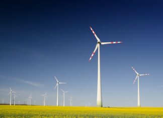Jakie są najnowsze trendy w produkcji energii wiatrowej