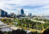 Jakie gatunki drzew są najlepsze dla Zielonych Miast: Przewodnik dla urbanistów Jakie gatunki drzew są najlepsze dla Zielonych Miast