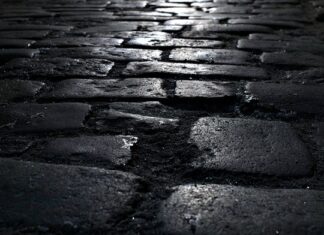 Czy podłoże i ziemia to to samo? Czy podłoże i ziemia to to samo?