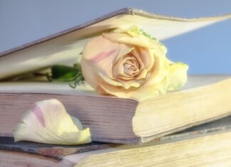 Czy warto kupić używanego Fiata Grande Punto? Czy warto kupić używanego Fiata Grande Punto?