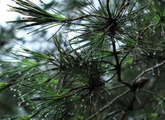 Jaki bagażnik rowerowy bez haka?