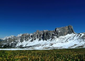 Jaki nawóz na zimę na działkę?