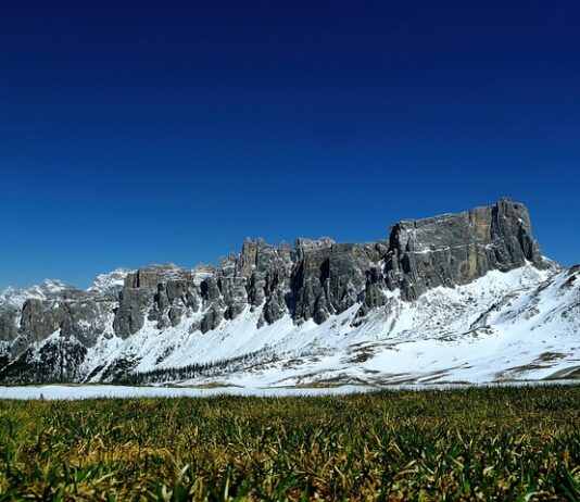 Jaki nawóz na zimę na działkę? Jaki nawóz na zimę na działkę?