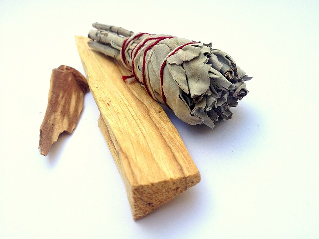 Czy Palo Santo odstrasza owady? Czy Palo Santo odstrasza owady?
