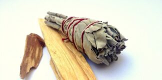 Czy Palo Santo to palisander? Czy Palo Santo to palisander?