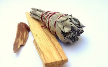 Czy Palo Santo to palisander? Czy Palo Santo to palisander?
