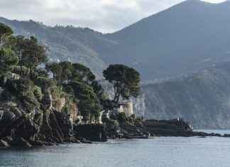 Ile kosztuje kuty silnik?