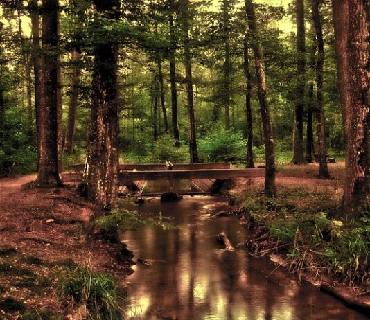 Ile kosztuje przednia szyba do samochodu? Ile kosztuje przednia szyba do samochodu?