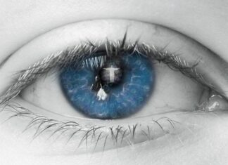 Czy jest sens mieć jeden ul?