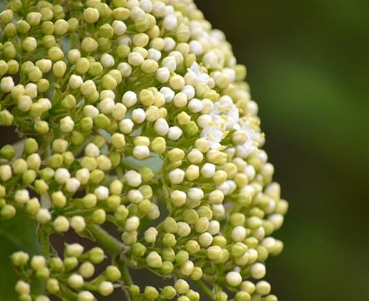 Gdzie stosowane są tuleje mokre? Gdzie stosowane są tuleje mokre?