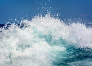 Jak rozbić grudki ziemi?