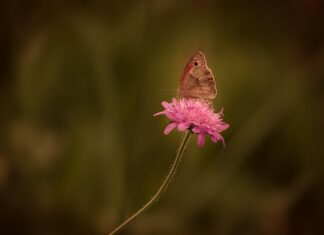 Jak samemu usunąć rdzę z błotnika? Jak samemu usunąć rdzę z błotnika?