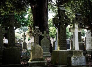 Co dać zamiast wylewki? Co dać zamiast wylewki?