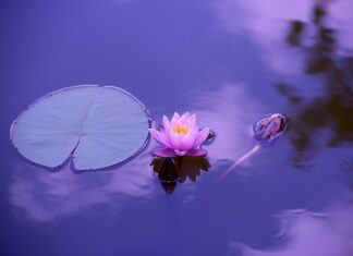 Ile bar w instalacji wodnej?