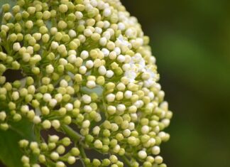 Kiedy wymienić tuleje cylindra? Kiedy wymienić tuleje cylindra?