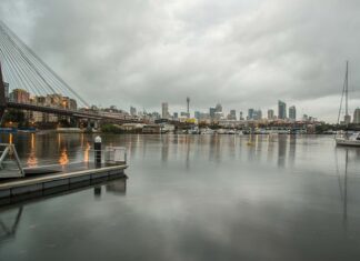 Jak szybko użyźnić glebę?