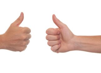 Czy potrzebne jest pozwolenie na ule? Czy potrzebne jest pozwolenie na ule?