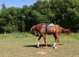 Jak zamontować podstawę słupa? Jak zamontować podstawę słupa?