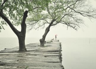 Jak grubość płyty OSB na podłogę? Jak grubość płyty OSB na podłogę?
