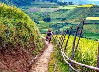 Co to jest ślepa podłoga?