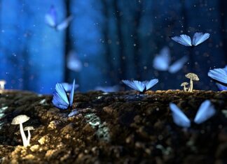 Jak oddzielić drewno od betonu? Jak oddzielić drewno od betonu?