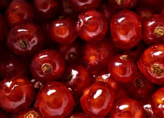 Co się dobrze pali?