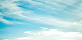 Jak uzyskać rewelacyjne plony z upraw rolniczych